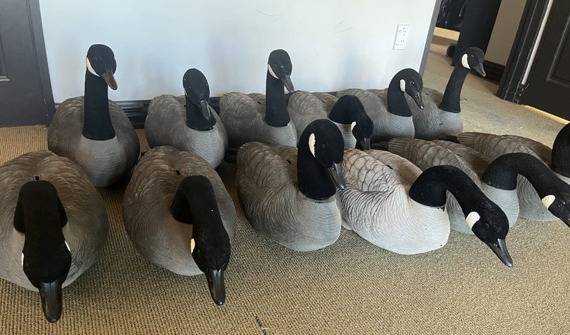 Duck hunting package64712715243521112