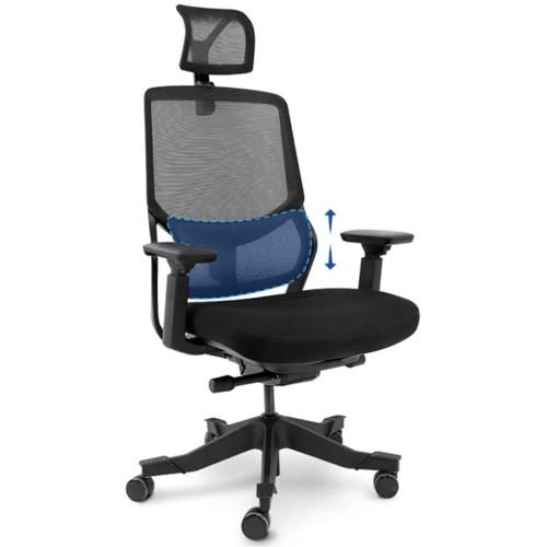 Loctek YZ502 Ergonomic Office Chair, With 3D Lumbar Support System - Cushioned Carousel 1