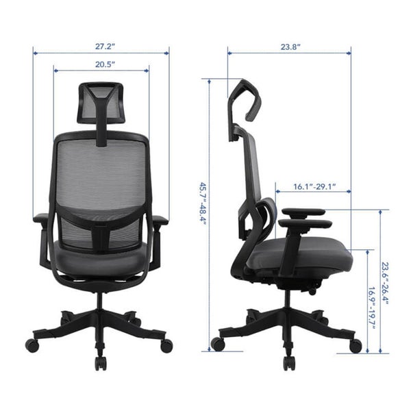 Loctek YZ502 Ergonomic Office Chair, With 3D Lumbar Support System - Cushioned Carousel 2