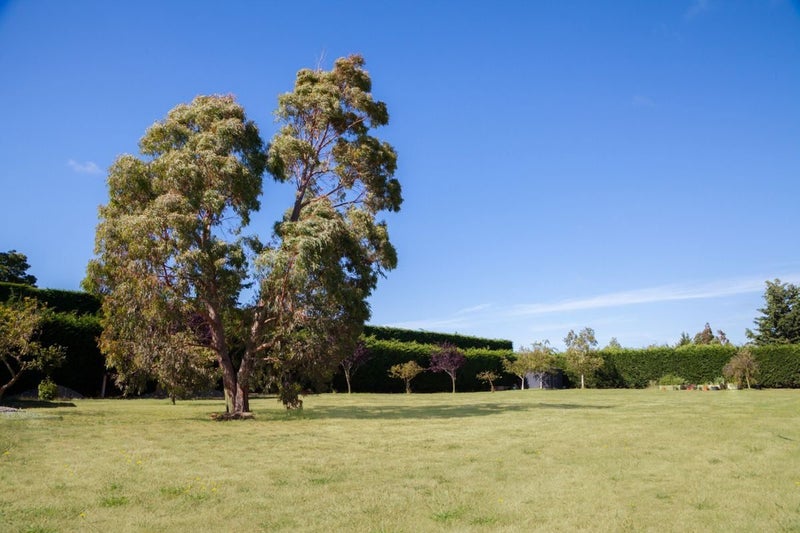 Rolleston, 3 bedrooms64715632419202110