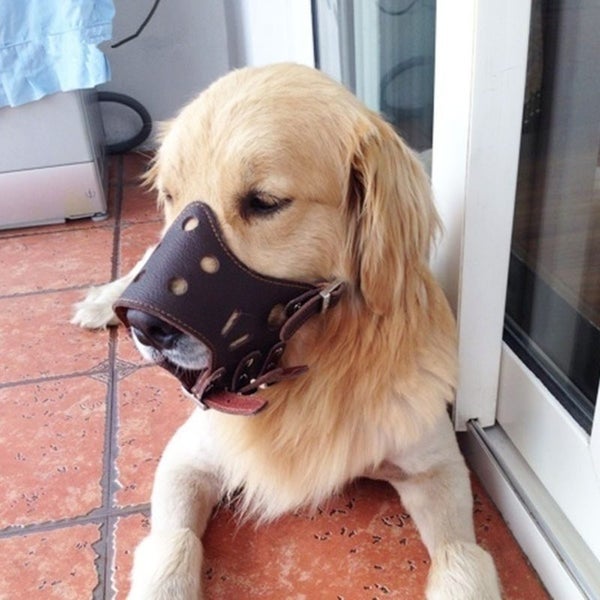 Dog Muzzle Dog Muzzles M Carousel 13