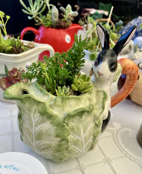 Succulent Teapot Garden Carousel 1