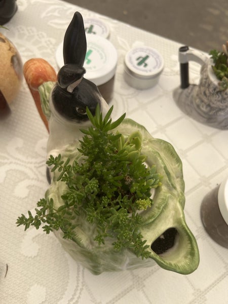 Succulent Teapot Garden Carousel 5