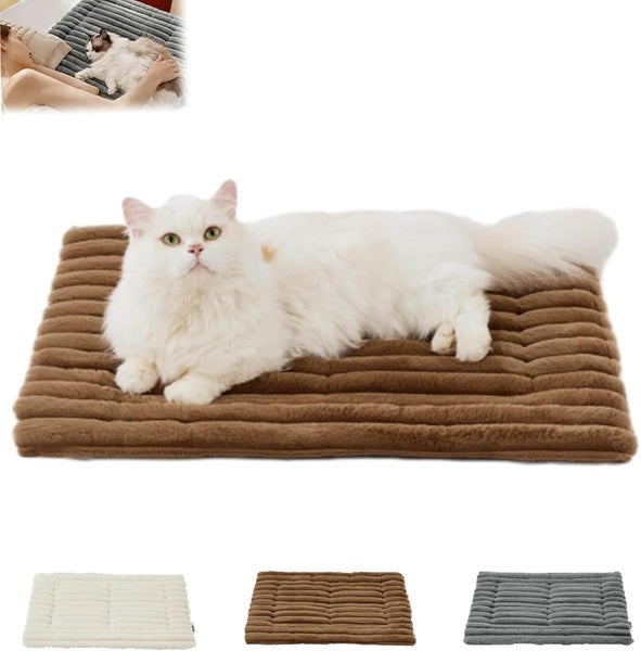 new Asolla Cat Bed - Self Warming Pet Mat, Self Warming Pet Bed with Therma Carousel 1