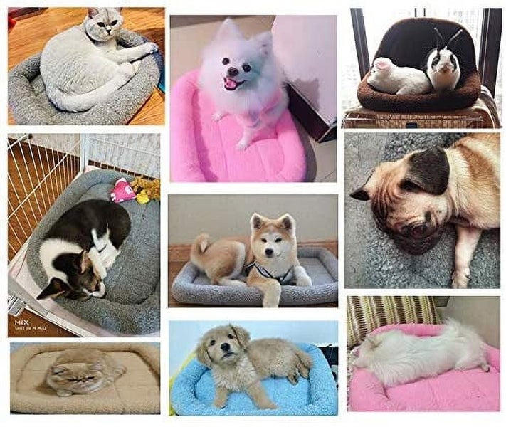 Pet Bed,Dog Warm Sleeping Blanket Washable Bed Mat Cat Pad for Puppy Small Carousel 4
