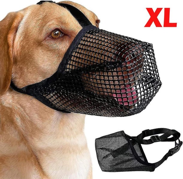 Dog Muzzle Carousel 2