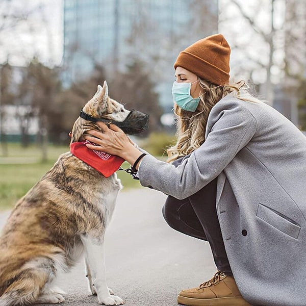 Adjustable Dog Muzzle Carousel 2