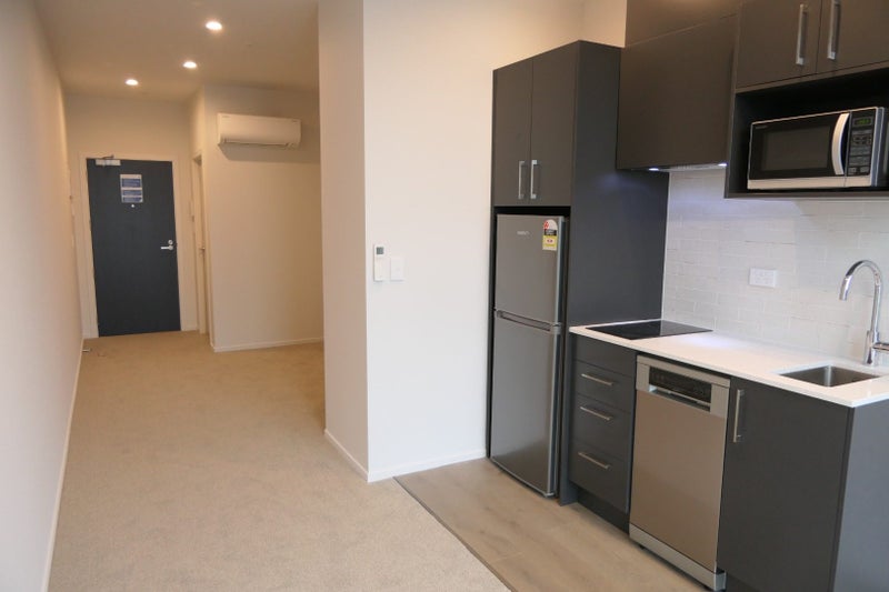 Te Aro, 1 bedroom64738138682883114