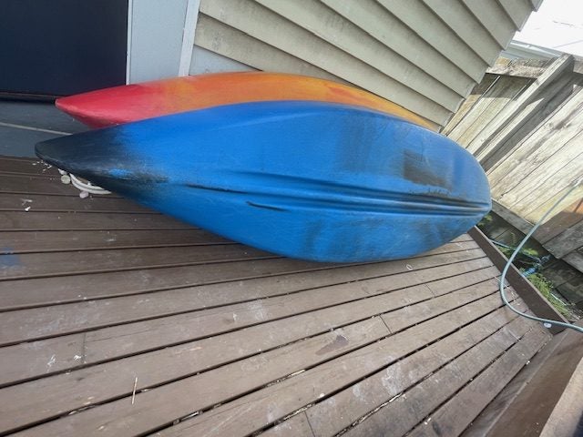 Dolphin Kayak sit-in64739096807681112