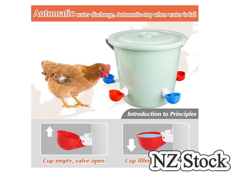 Chicken Feeder (Auckland Stock) Carousel 2
