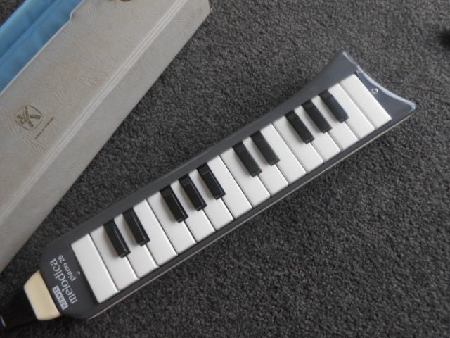 Musical instrument Carousel 1