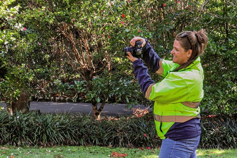 New Vision Landscapes Carousel 1