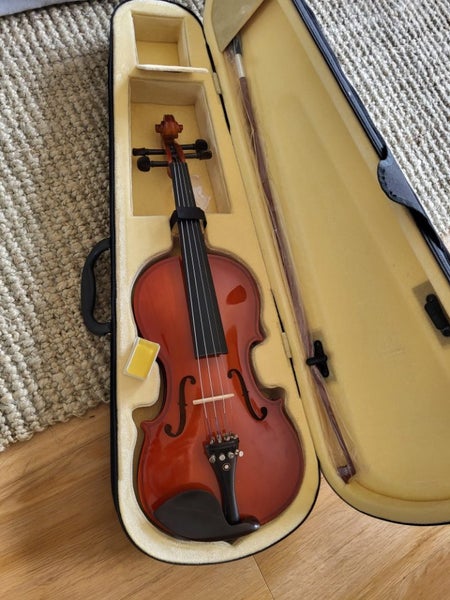 4/4 Violin set Carousel 2