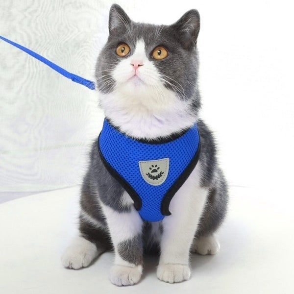 Cat Vest Harness Leash Set M Carousel 9
