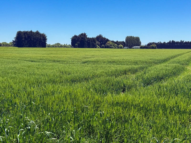 Multi Purpose Property64760054350465112