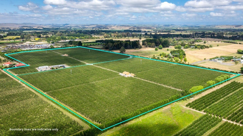 Mana Orchards – 26.22 ha64768592556802110