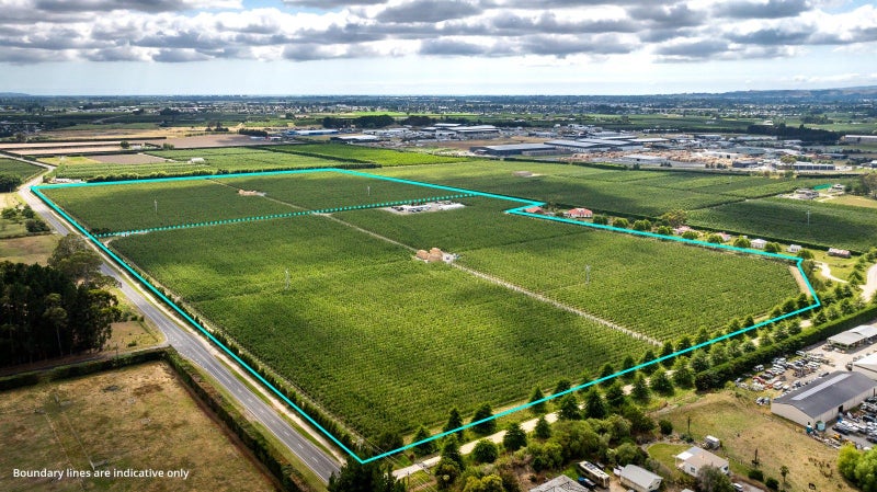 Mana Orchards – 26.22 ha64768592556802111