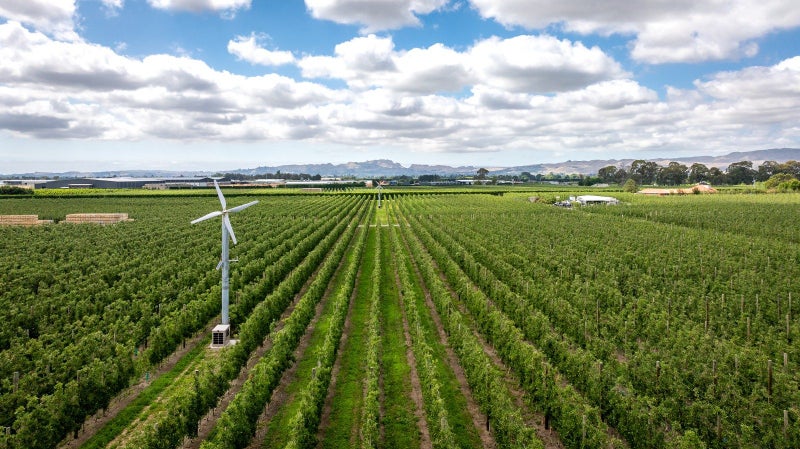 Mana Orchards – 26.22 ha64768592556802112