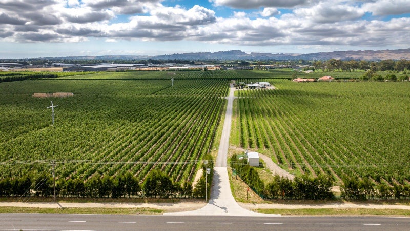 Mana Orchards – 26.22 ha64768592556802113