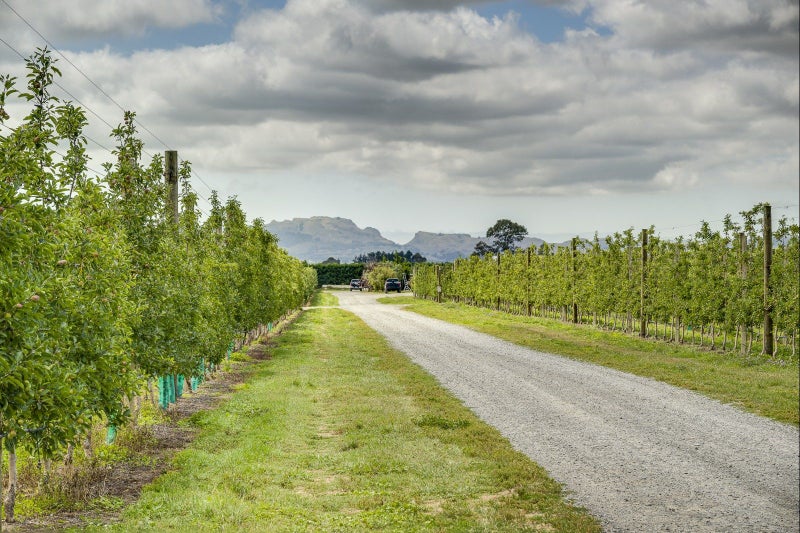 Mana Orchards – 26.22 ha64768592556802114