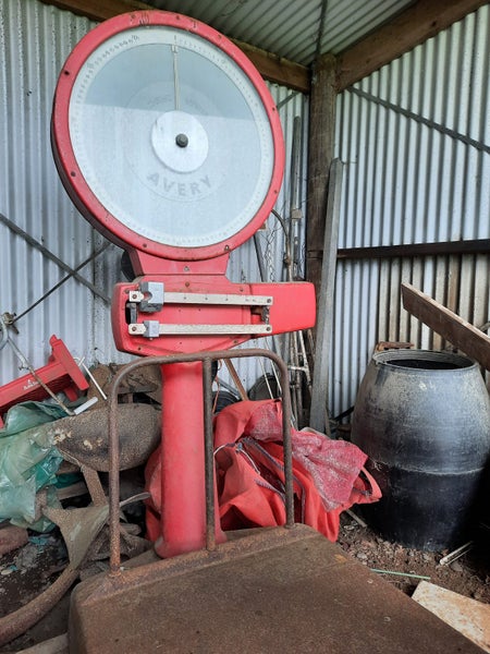 Antique Avery Industrial Scales Carousel 2