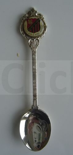Waitaki Girls High School Teaspoon Carousel 1
