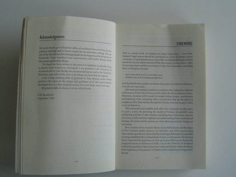 Waitangi and Indigenous Rights by FM Brookfield Carousel 6