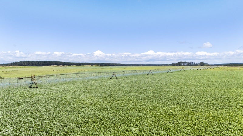 Tahuna - Large scale dry stock unit64782507419777112