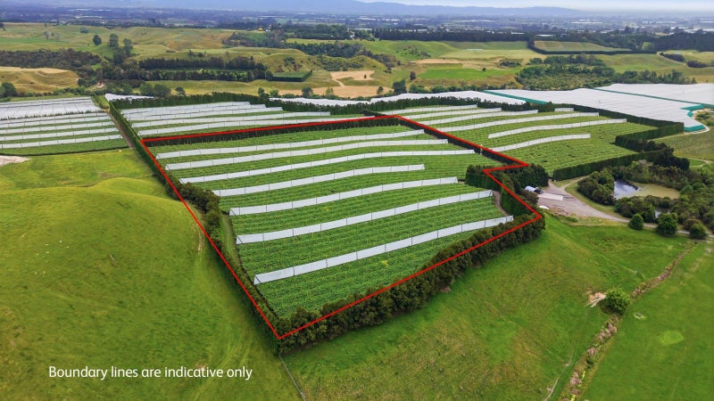 Amalfi – G3 Production Block64782717148930110