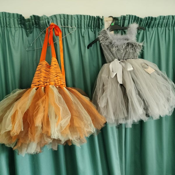 Tutu dresses x 2 brand new plus cat dress up aged 5-6 yr Carousel 1