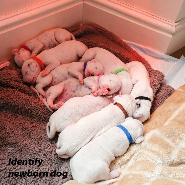 15pcs Puppy Whelping Identification Collars Carousel 2