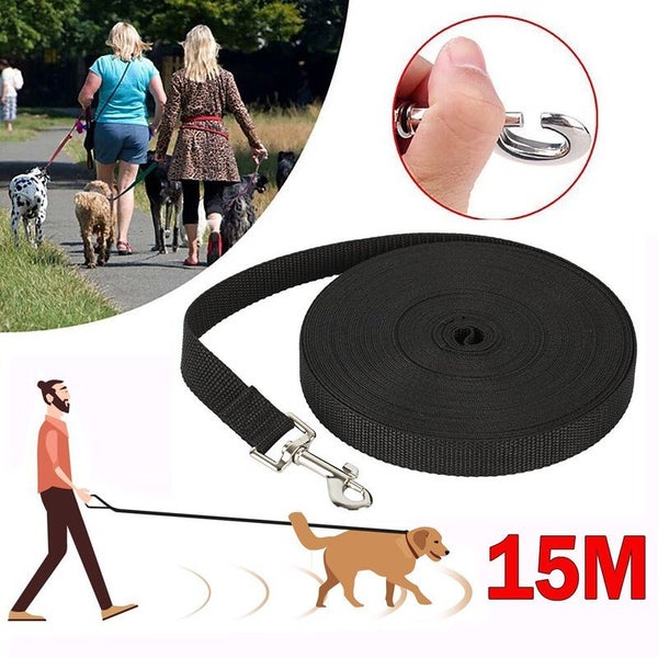 Dog Lead Leash Dog Leads Carousel 1