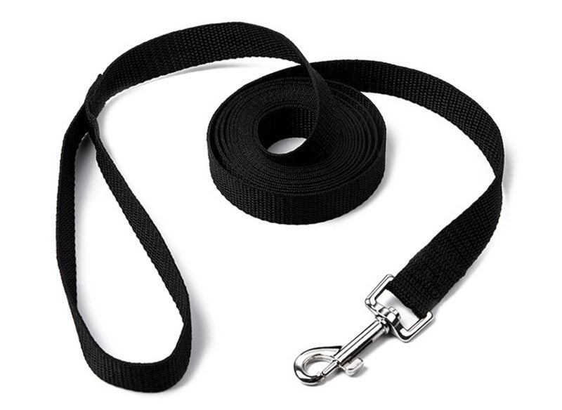 Dog Lead Leash Dog Leads Carousel 2
