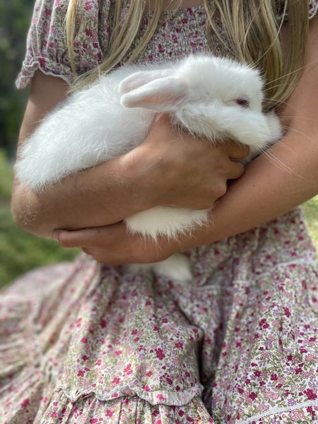 Jersey Wooly Bunny Carousel 2