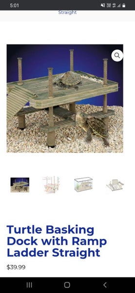 Turtle tank dock Carousel 1