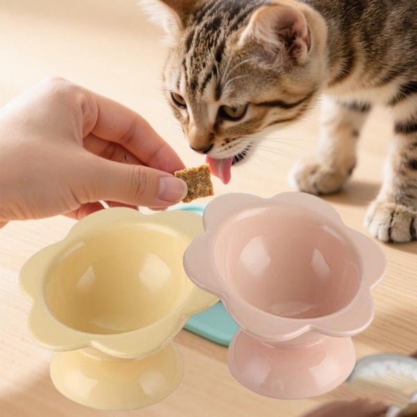 2PCS Cat Flower Bowl Ceramic Raised Raised Cat Food Bowls Elevated Pet Tilt Carousel 1