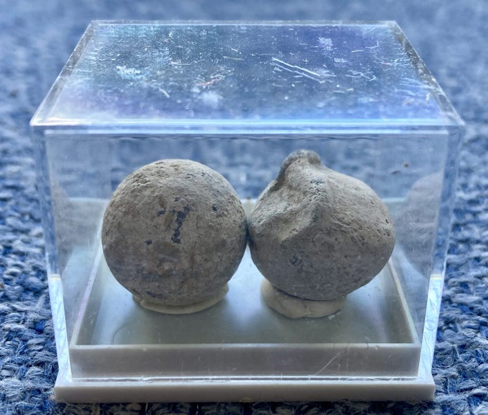 Pair of genuine musket balls, dating 1818-1853. North Island Find! Carousel 3