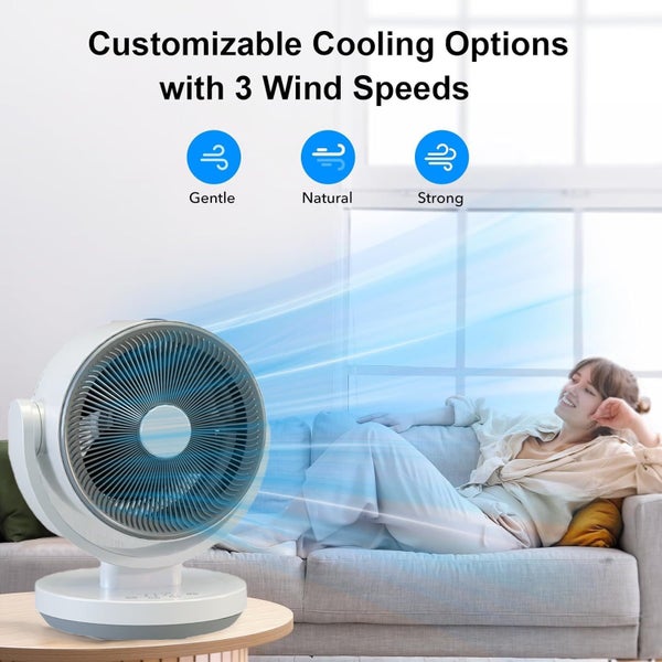 Desk Fan With 3 Speeds & Timer, 10?Z?Z Quiet Air Circulator Fans, Touch Opera Carousel 2