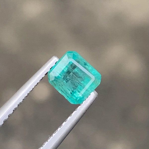 $1res Emerald Zambian 0.75ct Carousel 2