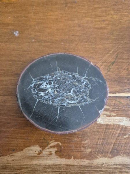 Fish Coprolite, Shale Deposits, Burntisland, Fife. 300/320MYO Carousel 1