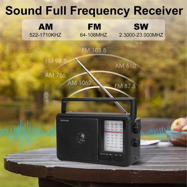 AM FM SW Radio Portable, Shortwave Radio Battery Powered/Plug in Wall for H Carousel 2