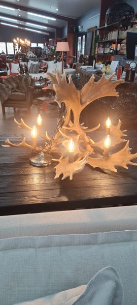FAUX ANTLER CHANDERLIER - DEMOLITION SALE $1000 OFF Carousel 6