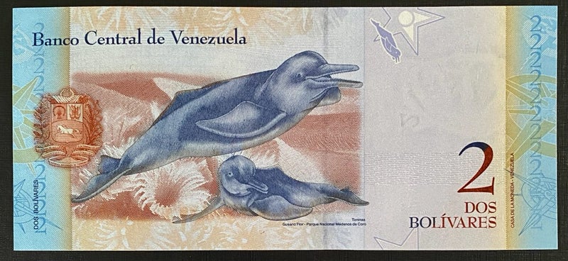 Venezuela - 2 Bolivares - 2012 UNC Carousel 2