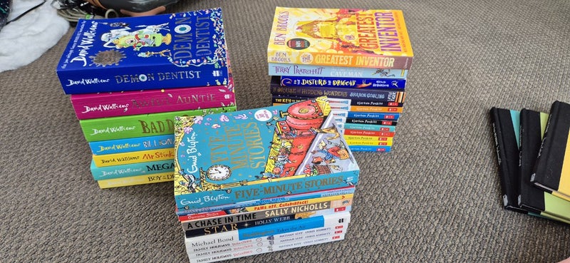 Bulk kids chapter books64826772572929110