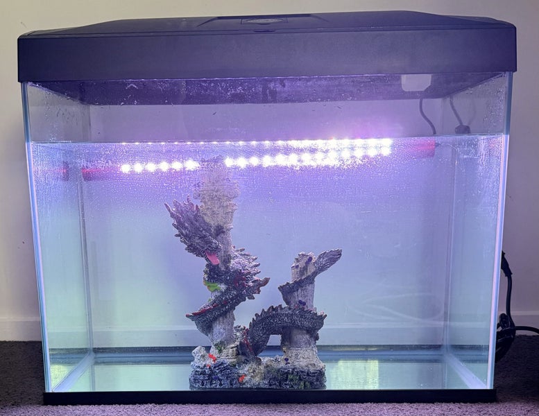 Fish Tank Light Carousel 1