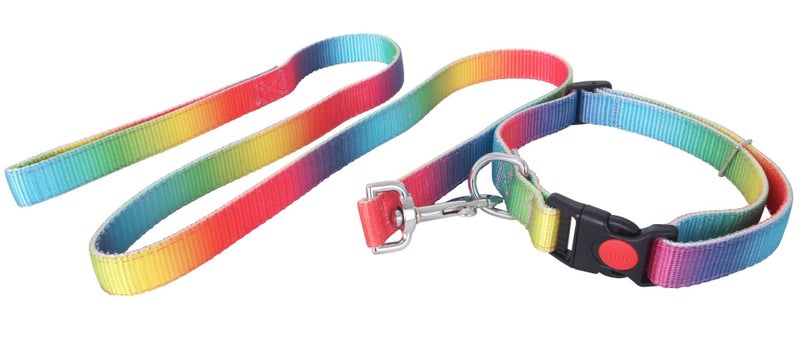 Flair Flair Rainbow Dog Collar and Lead Set Carousel 1