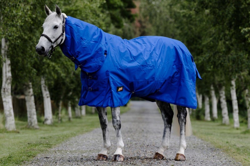 Flair Roxburgh Combo 1200D Carousel 2