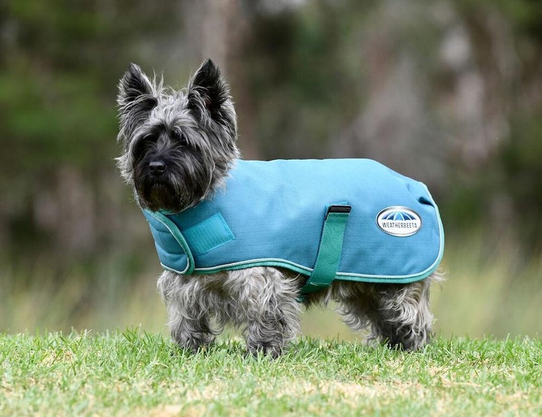 WeatherBeeta Weatherbeeta Green-Tec 1200D Parka Dog Coat Carousel 1