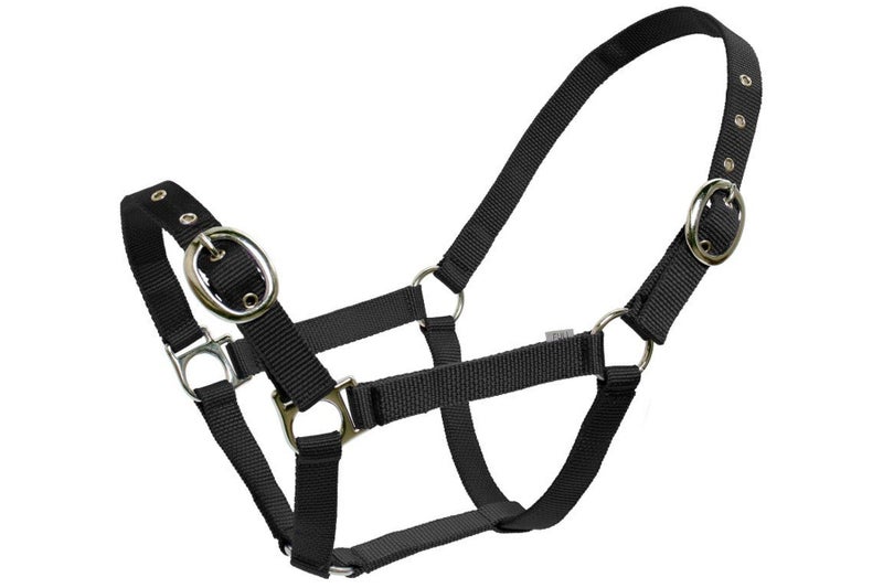 Blue Tag Web Halters Carousel 1