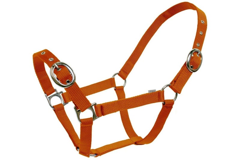 Blue Tag Web Halters Carousel 2